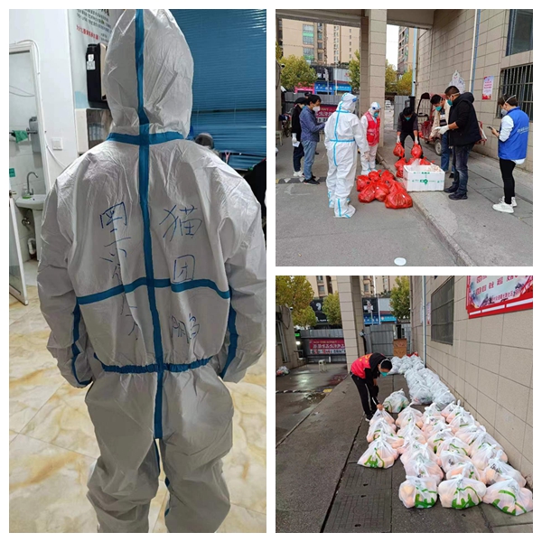 光影魔术手拼图.jpg