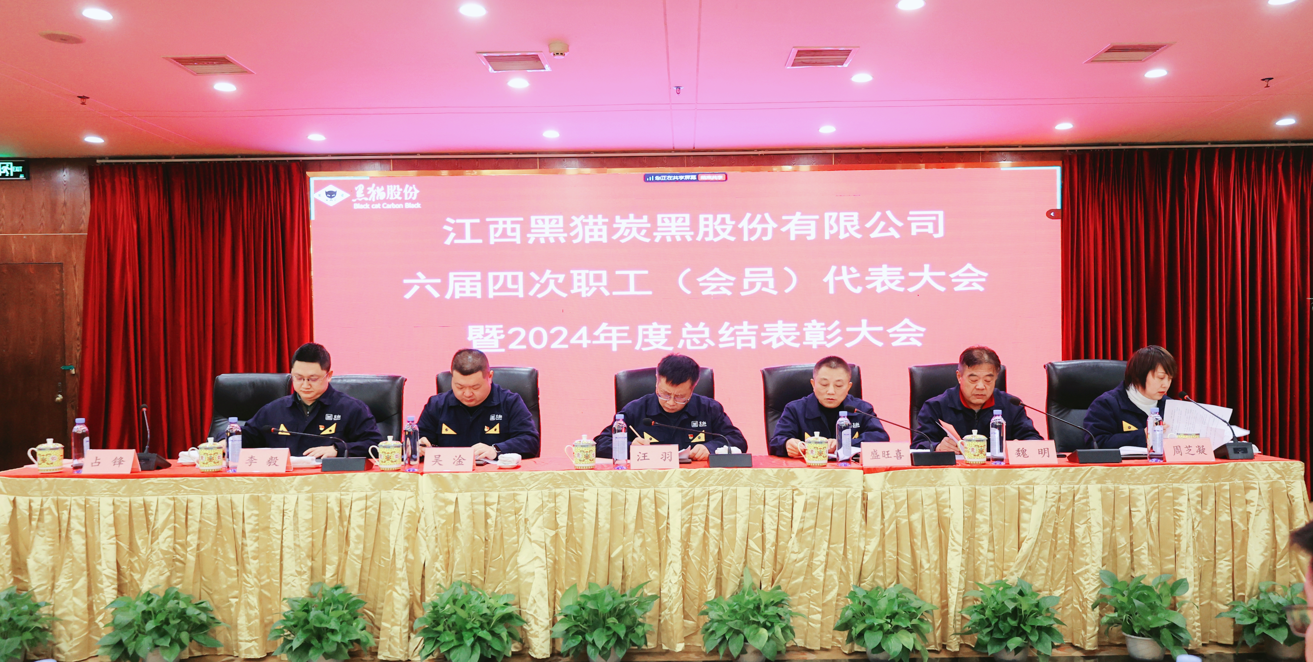 图1 会议现场.jpg