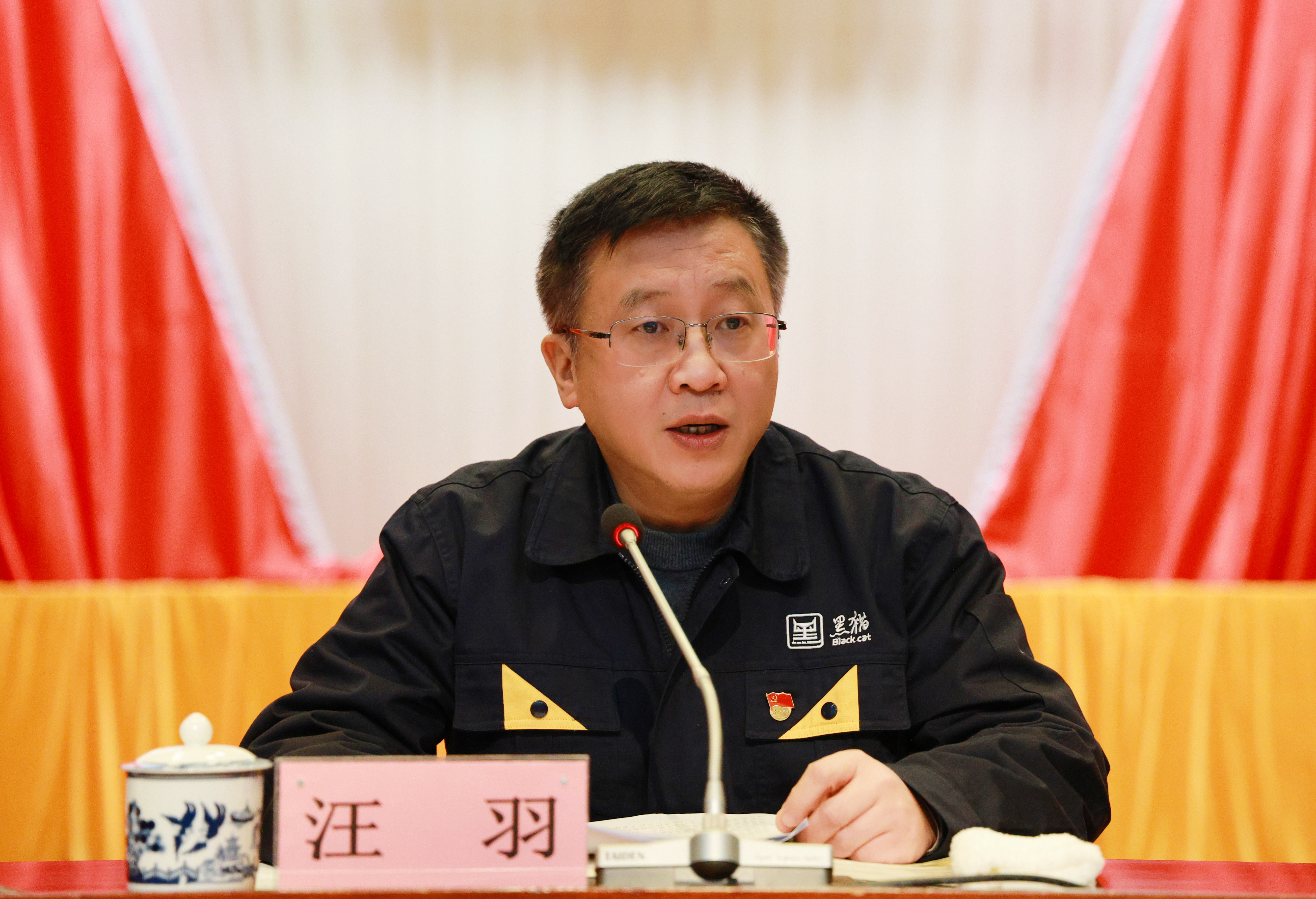 图6 汪羽作讲话.jpg