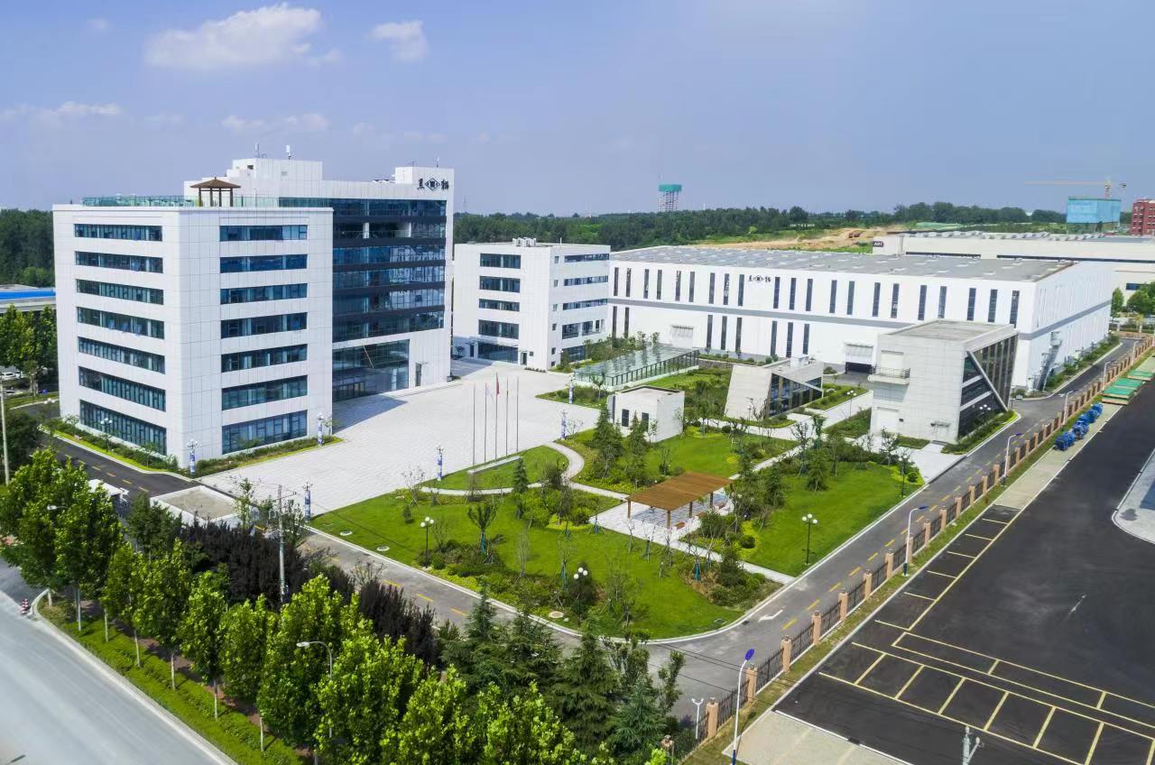 青岛黑猫 (1).jpg