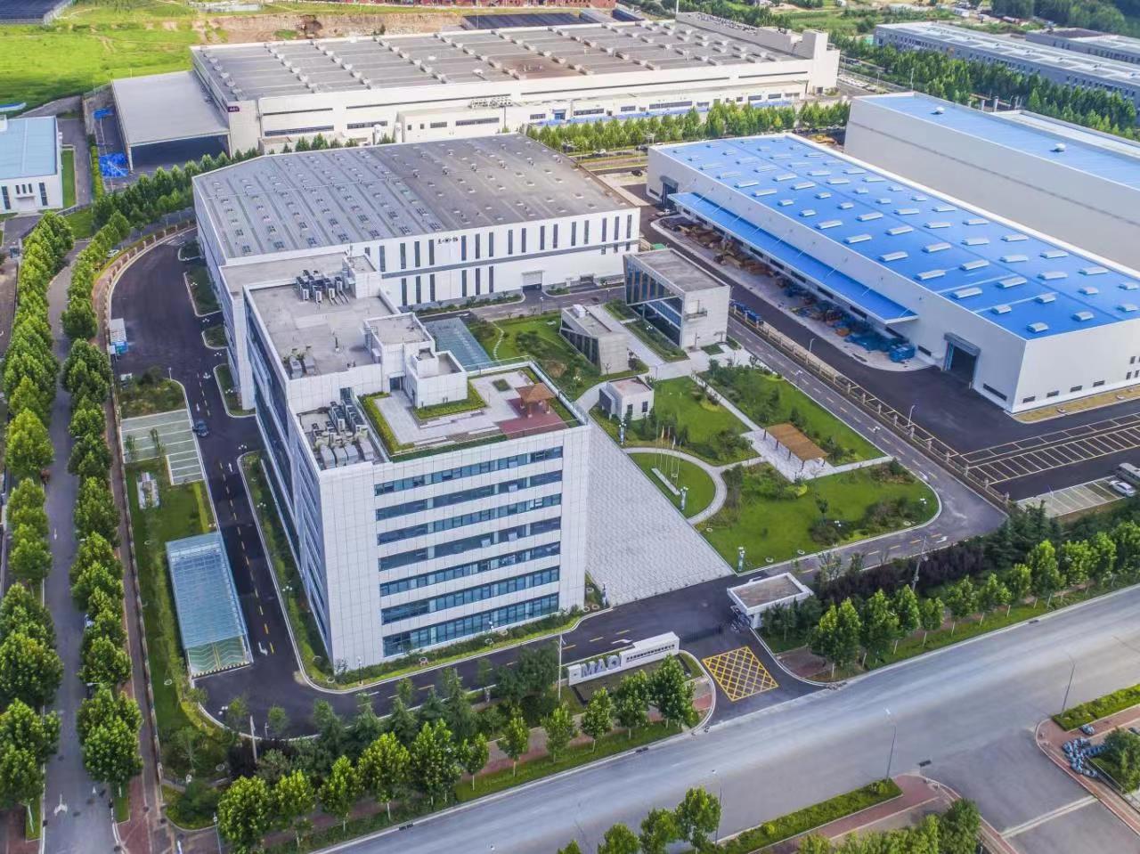 青岛黑猫 (2).jpg